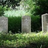 biala1-10.jpg