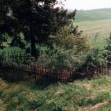 nowy-6.jpg
