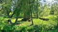 miejsca:1914:warminsko-mazurskie:bobrowo:2016-05-06:20160506_110837_hdr.jpg