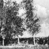 cmborzymy01-1940.jpg