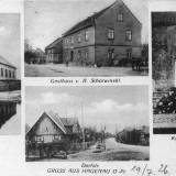 chojnik02.jpg