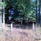dorsze_-_03.09.2005.jpg