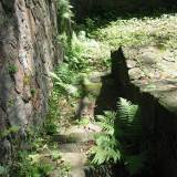 img_0015.jpg