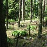 img_0016.jpg
