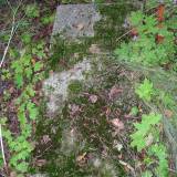 elk_-_27.08.2006.jpg