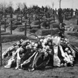 stadt-friedhof5.jpg