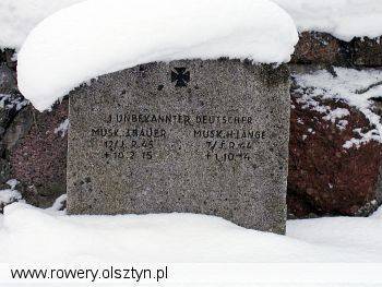 089_goldap.jpg