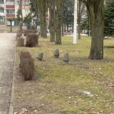 goldap-pulkowy01.jpg