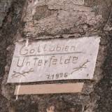 golubie03.jpg