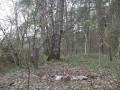 miejsca:1914:warminsko-mazurskie:gora:2013-05-03:gora01.jpg