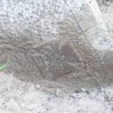 karwik04.jpg