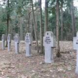 karwik002.jpg