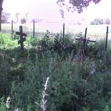 dsc08332a.jpg