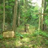 klewiny05.jpg