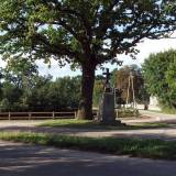 5156_klon_20080831.jpg