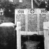 kotten02.jpg
