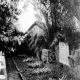 kotten03.jpg