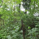 dscf1736.jpg