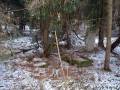miejsca:1914:warminsko-mazurskie:lipinskie_male:2012-02-04:lipinskie_male_00.jpg