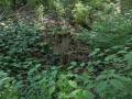 miejsca:1914:warminsko-mazurskie:niedzwiedzkie:2025-06-14:niedzwiedzkie01.jpg