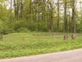 miejsca:1914:warminsko-mazurskie:nory:2009-05-06:nory01.jpg