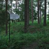 1162_okowizna_ww1_20090704.jpg