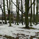 olsztyn03.jpg