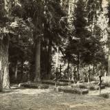 allenstein-russenfriedhof.jpg
