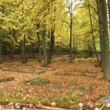 461_orlowo_20061014.jpg