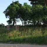 1181_pieczarki_ww1_20090705.jpg