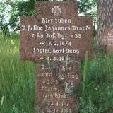 1187_pieczarki_ww1_20090705.jpg