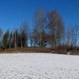 dscf6075.jpg
