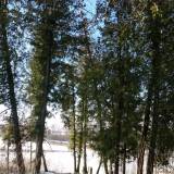 dscf6101.jpg