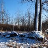 dscf6115.jpg