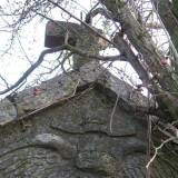 rudolfowo14.km5b.jpg