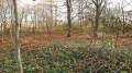 miejsca:1914:warminsko-mazurskie:rutkowice:2013-10-25:pa256811.jpg