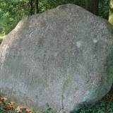 432_sarnowo_ginter.jpg