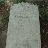 434_sarnowo_ginter.jpg
