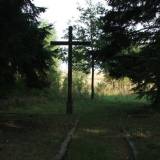 435_sarnowo_ginter.jpg