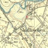 skallischen_soldgr_1.jpg