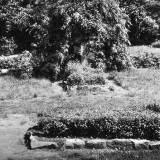 waplitz02.jpg