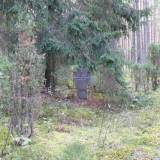 woliskoduze03.jpg