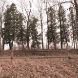 zabin04-03.jpg