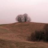 zabin05-01.jpg