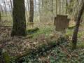 miejsca:1914:warminsko-mazurskie:zalesie:2025-04-16:zalesie01.jpg