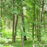 img_0056.jpg