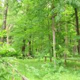 img_0061.jpg