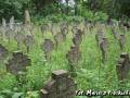 miejsca:1920:bialorus:minski:nowy_swierzen:2010-06-26:n.swierzen20.mp21.jpg