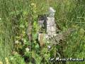 miejsca:1920:bialorus:witebski:podswile:2010-07-18:podswile20.mp5.jpg