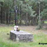 mikorzyn20.km001.jpg
